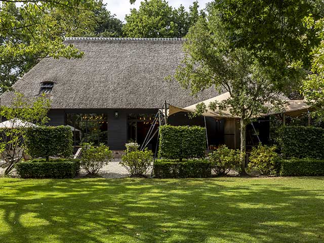 ROOTS - 1 day retreat ROOTS - 1 day retreat