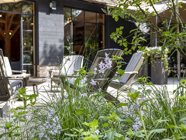 ROOTS - 1 day retreat ROOTS - 1 day retreat